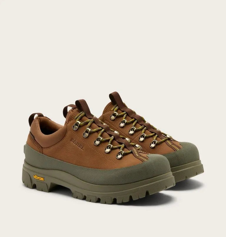 Daystorm™ Nomad GTX Men's Shoe