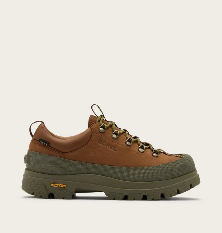 Daystorm™ Nomad GTX Men's Shoe